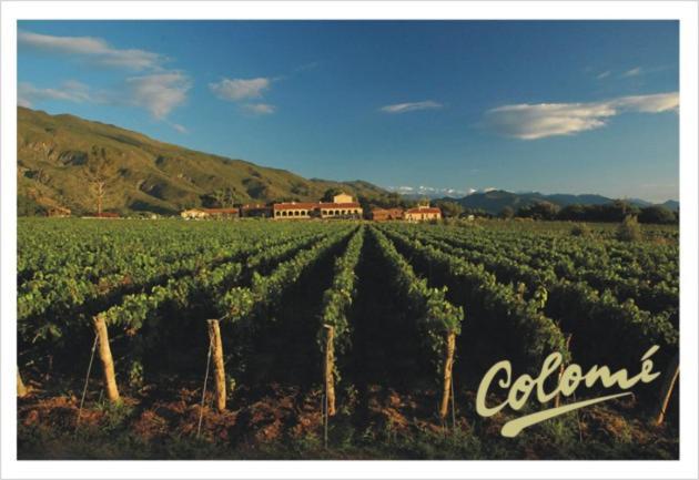 Estancia Colome Молинос Екстериор снимка